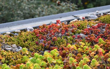 the cost of Yopps Green green roof installation