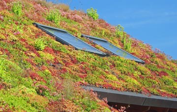 Yopps Green living roof systems